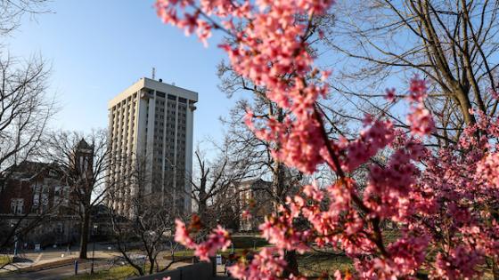 Image of Patterson Office Tower in the Spring